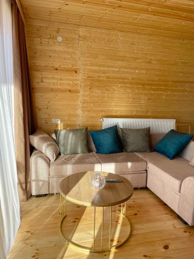 Twin Cottages Kazbegi Exterior photo